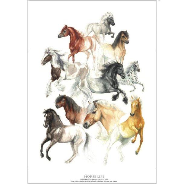 Horse Life - Plakater fra Koustrup